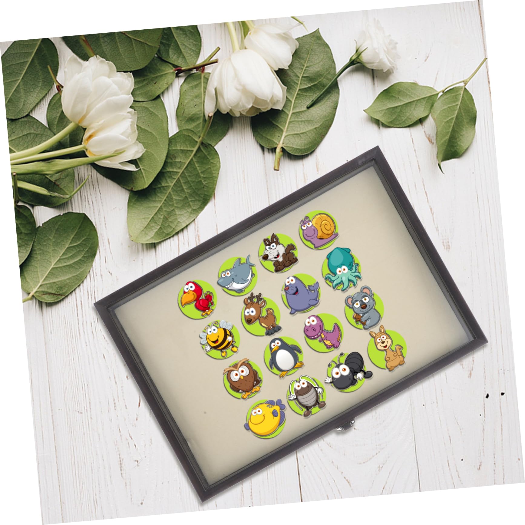 Scatola Per Esposizione Spille Trasparente Contenitore Per Gioielli Medaglie e Accessori Design Elegante Per Collezionisti e Appassionati Di Brooch Pin
