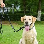 Rope Dog Leash, 6 Foot Heavy Duty Dog Leash with Aviation Aluminum Auto Locking Carabiner, Strong Nylon Pet Lead for Small, Medium, Large Dogs (Black, 6FT)