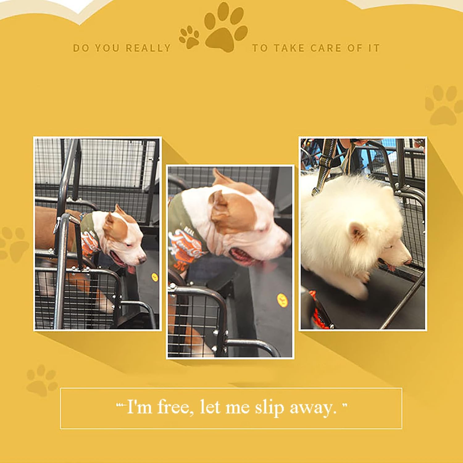 Treadmill For Dogs Pet Fitness Treadmill For Small And Medium