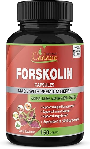 Cápsulas de extracto de forskolina de 5000 mg suministro de 5 meses y curcumina de cúrcuma arjuna garcinia cambogia té verde suplementos de la India
