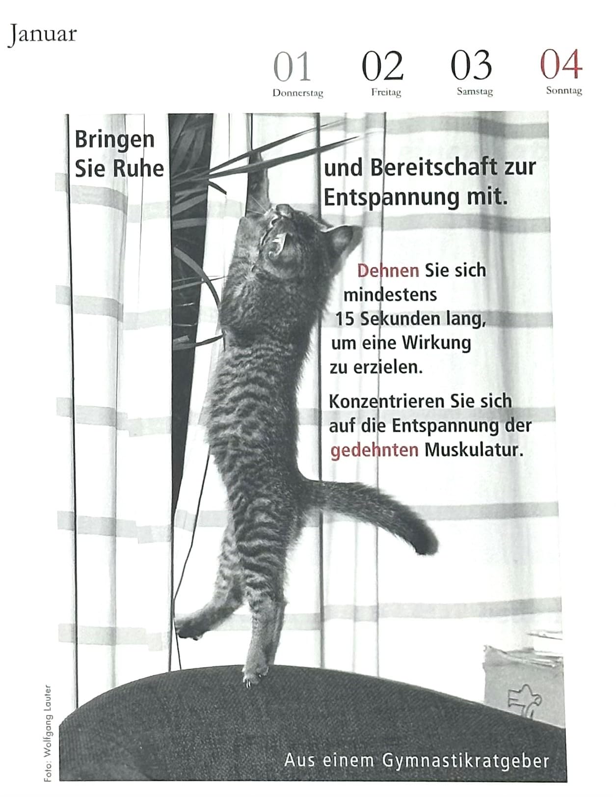 Der literarische Katzenkalender 2026. DAS ORIGINAL!