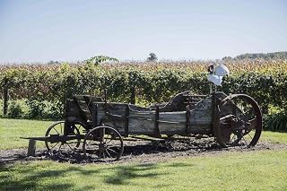 Photo - The Chicken on an Old Wagon on a Hendricks County, Indiana, Farm, Near The Town of Lizton, Could Qualify as Art but The Wagon Itself Might not- Fine Art Photo Reporduction 36in x 24in