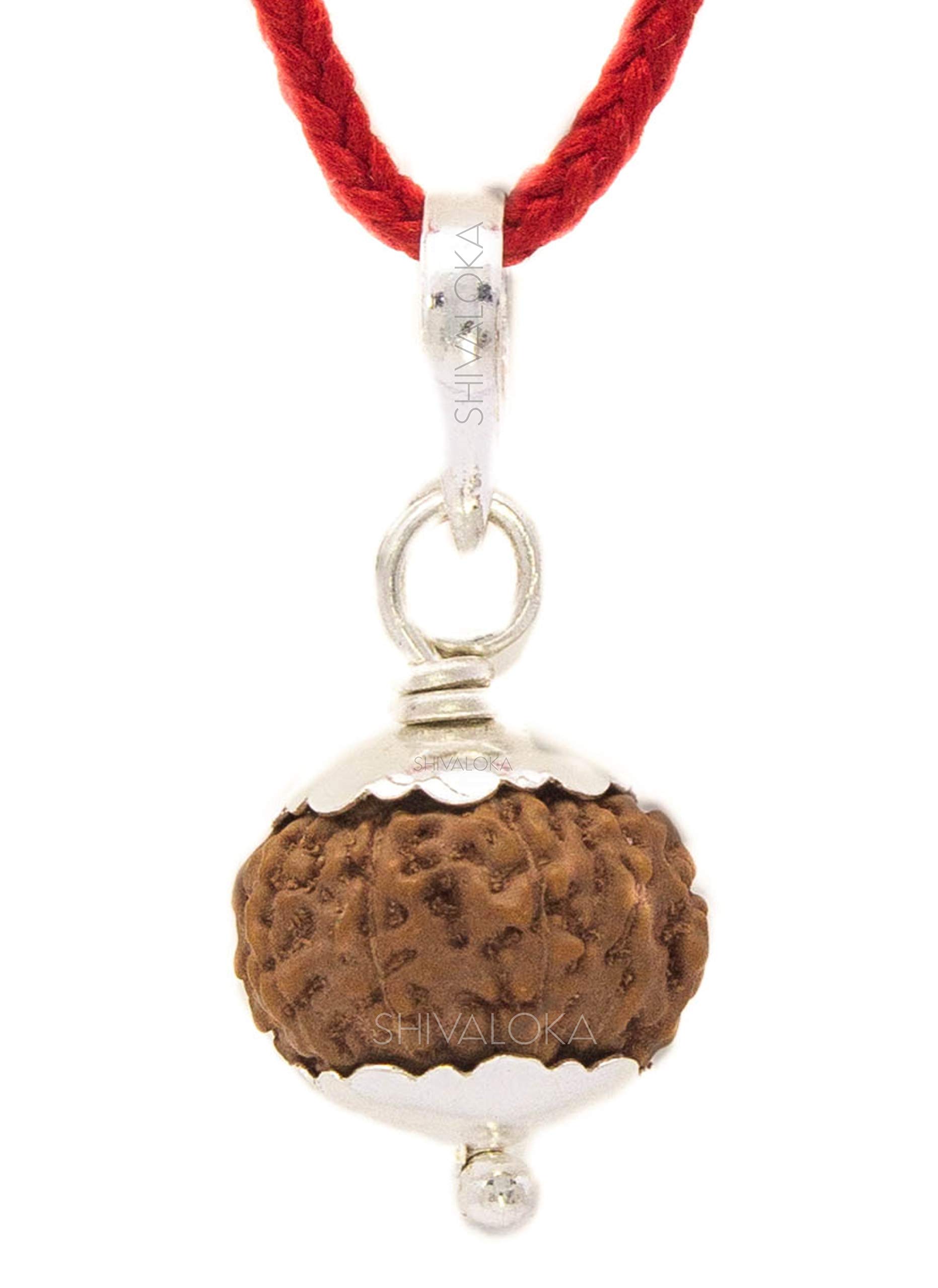 SHIVALOKA9 Mukhi Rudraksha Original Certified Silver Pendant 15 mm size (Nine Face) For Men and Women (with Laboratory Report).