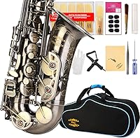 Vista 7 de Kit de cuidado para saxofón con 11 reeds, 8 para saxofón alto cojines, funda, Glory E Flat