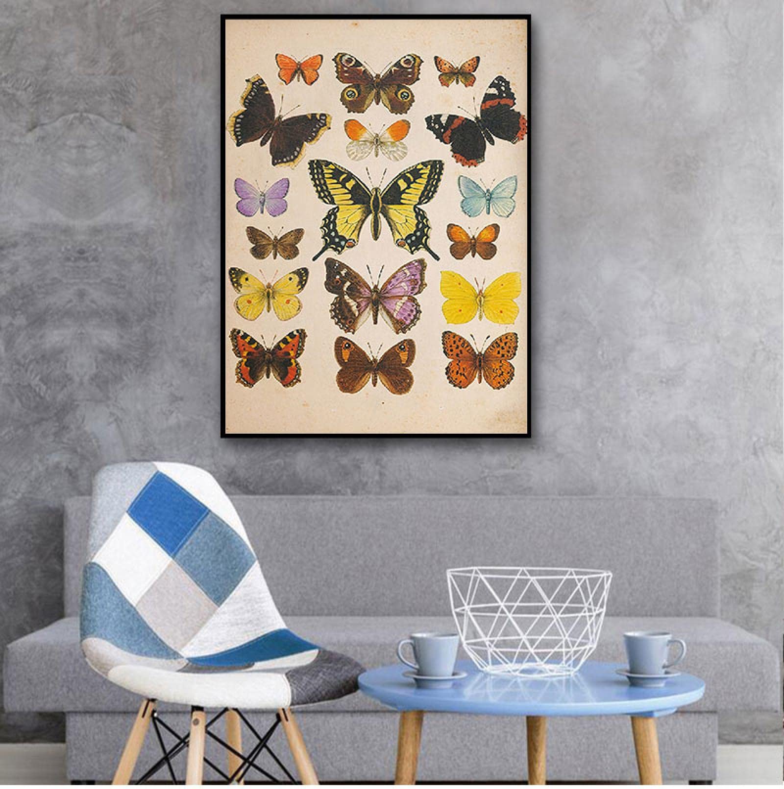 Vlinders Vintage Poster En Print Insect Antieke Illustratie Wall Art Canvas Schilderij Foto voor Woonkamer Home Decor 30x45cm (12x18in) Frameloze