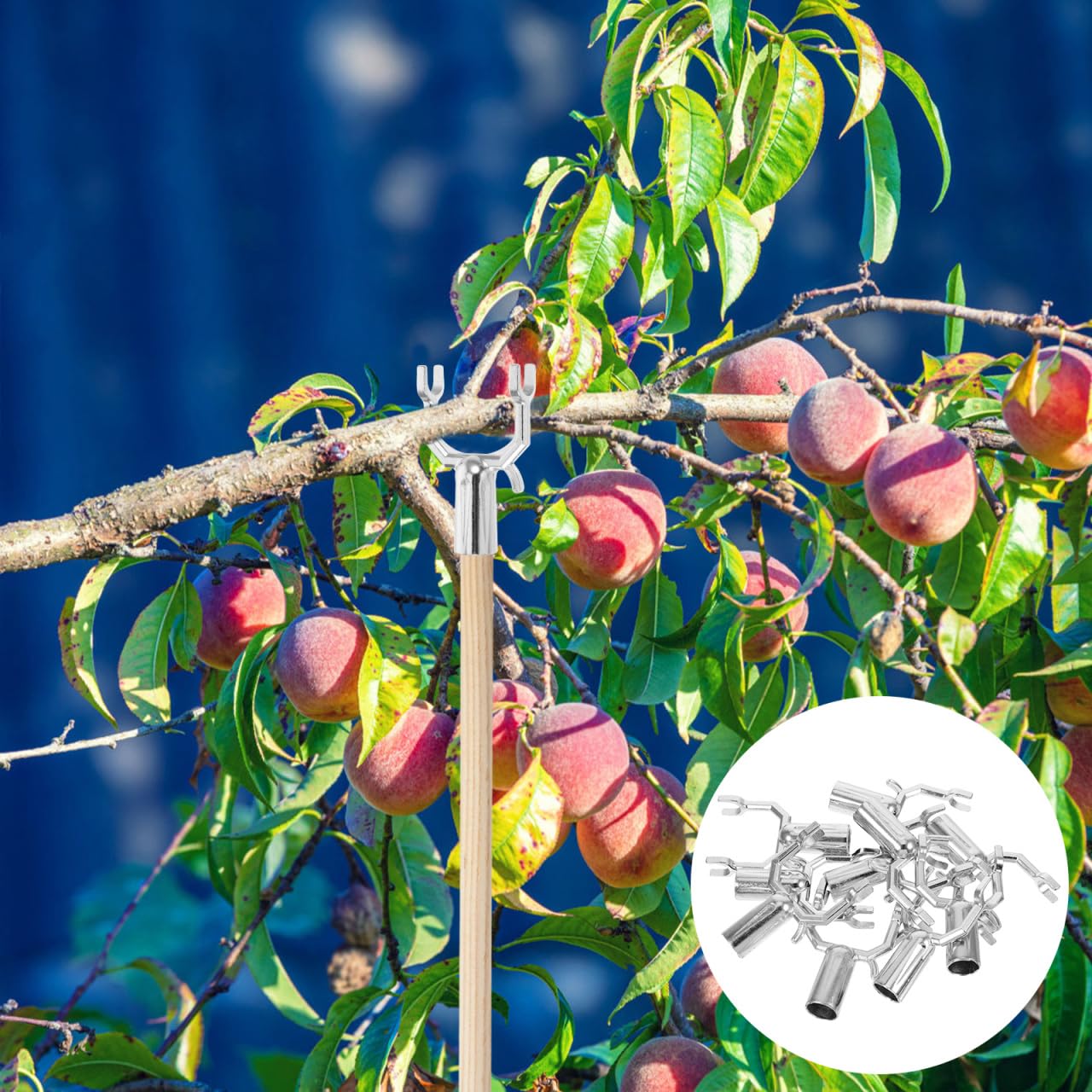 Housoutil Fourche De Support pour Arbres Fruitiers Métallique Réutilisable 10.00X6.00X1.90Cm Support Stable pour Jardin Verger Potager Lot de 10 Têtes De Fourche