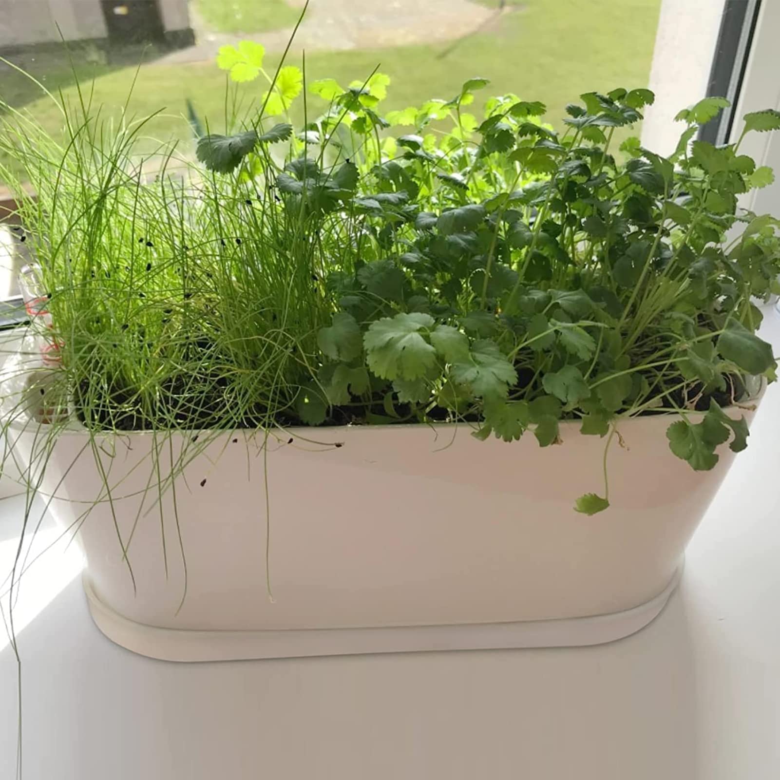 20 Stück Fenster-Kräuter-Pflanzkasten, rechteckig, 21.6x8.9 cm, weiße Kunststoff-Pflanzgefäße mit mehreren Ablauflöchern und Tabletts, für den Innenbereich, Sukkulenten, Garten, Balkon