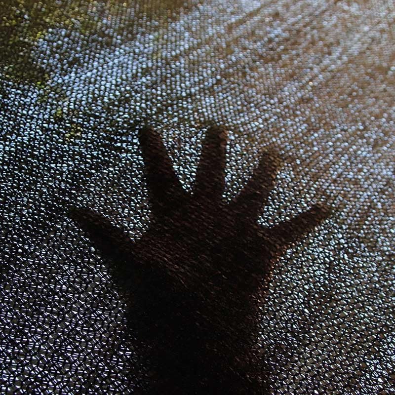 Paño de protección UV de malla E negra con ojales, 80 % de bloqueo UV disponible en 8 x 8 m, 8 x 10 m, 10 x 10 m y 6 x 10 m, ideal para jardín, patio, invernadero y uso al aire libre