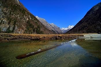 Amazon.com : Laowa 15mm f/4 Wide Angle Macro Lens with Shift