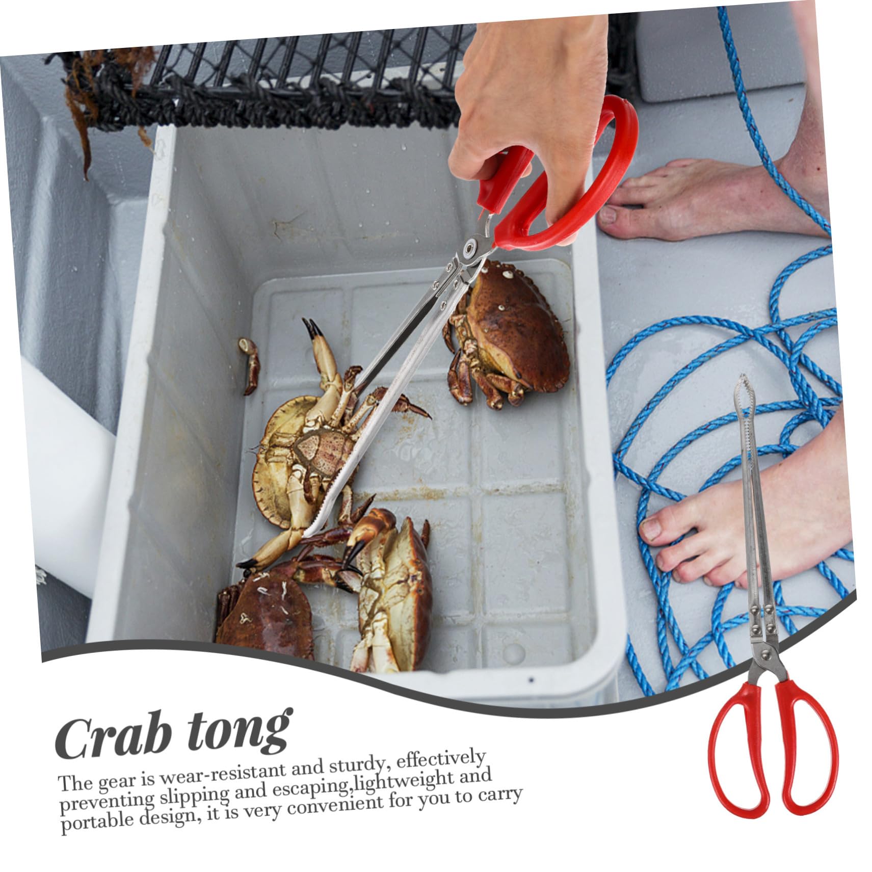 Ipetboom Pince à Crabe Portable Multifonction Acier Inoxydable Pince Antidérapante pour Anguilles et Écrevisses Outil Robuste et pour Usage Domestique et Activités Plein Air