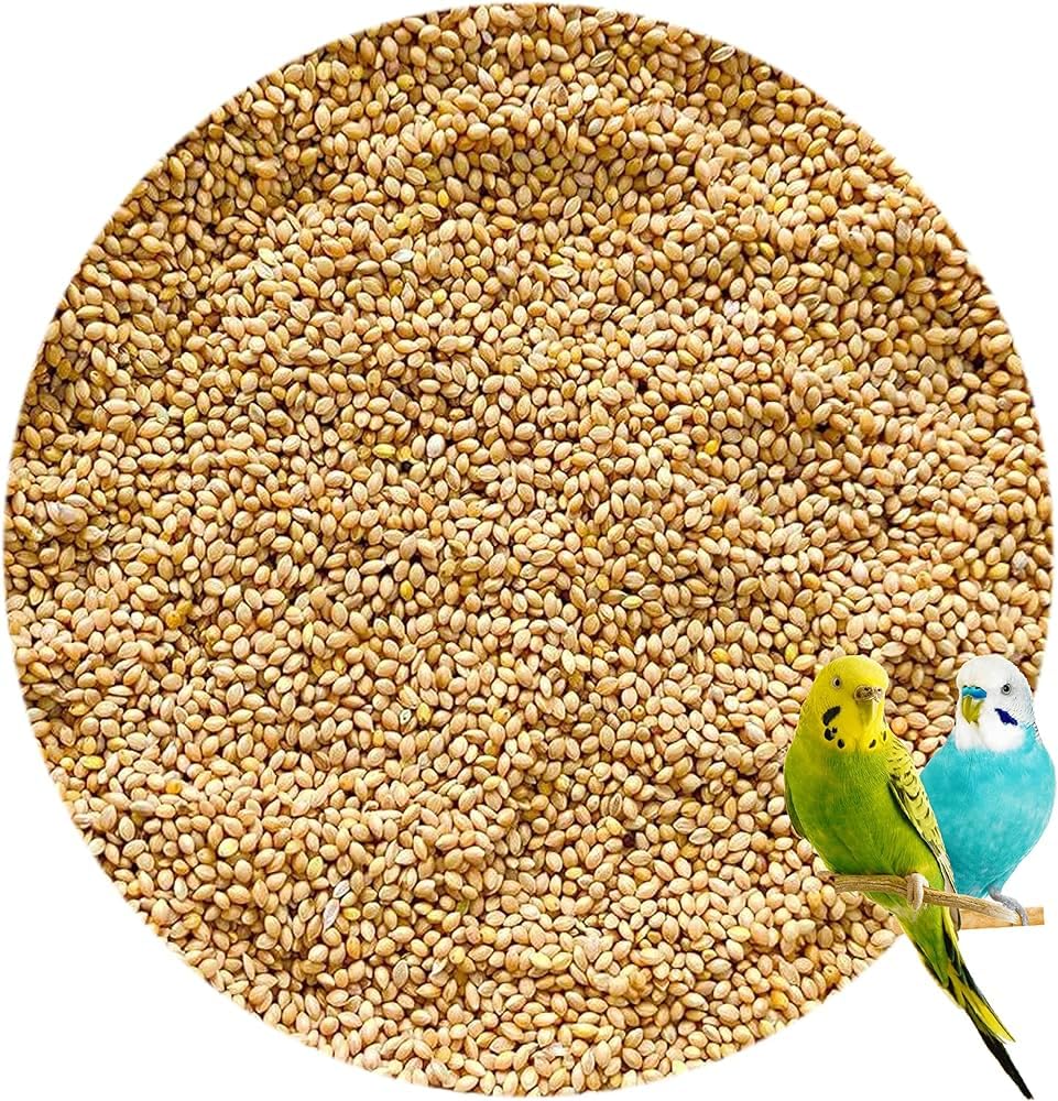 Vanaushadhi Foxtail Millet (Kangni) Bird Food with Cuttle Fish Bone for Birds 1 Kg Pack (B0CWVNCVNR) Amazon Price History, Amazon Price Tracker