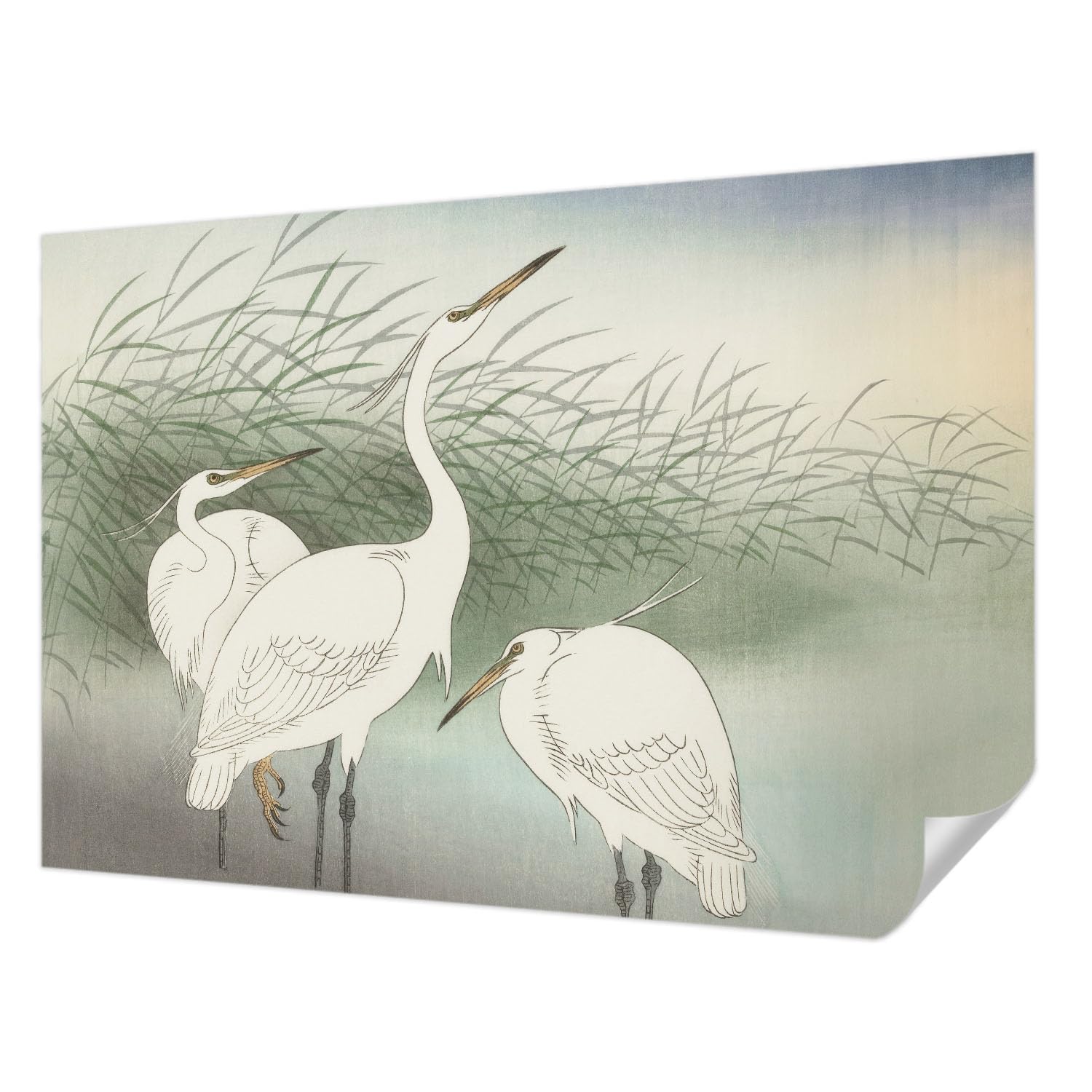Papel pintado autoadhesivo moderno de 152x104 cm lavable para decoración de pared