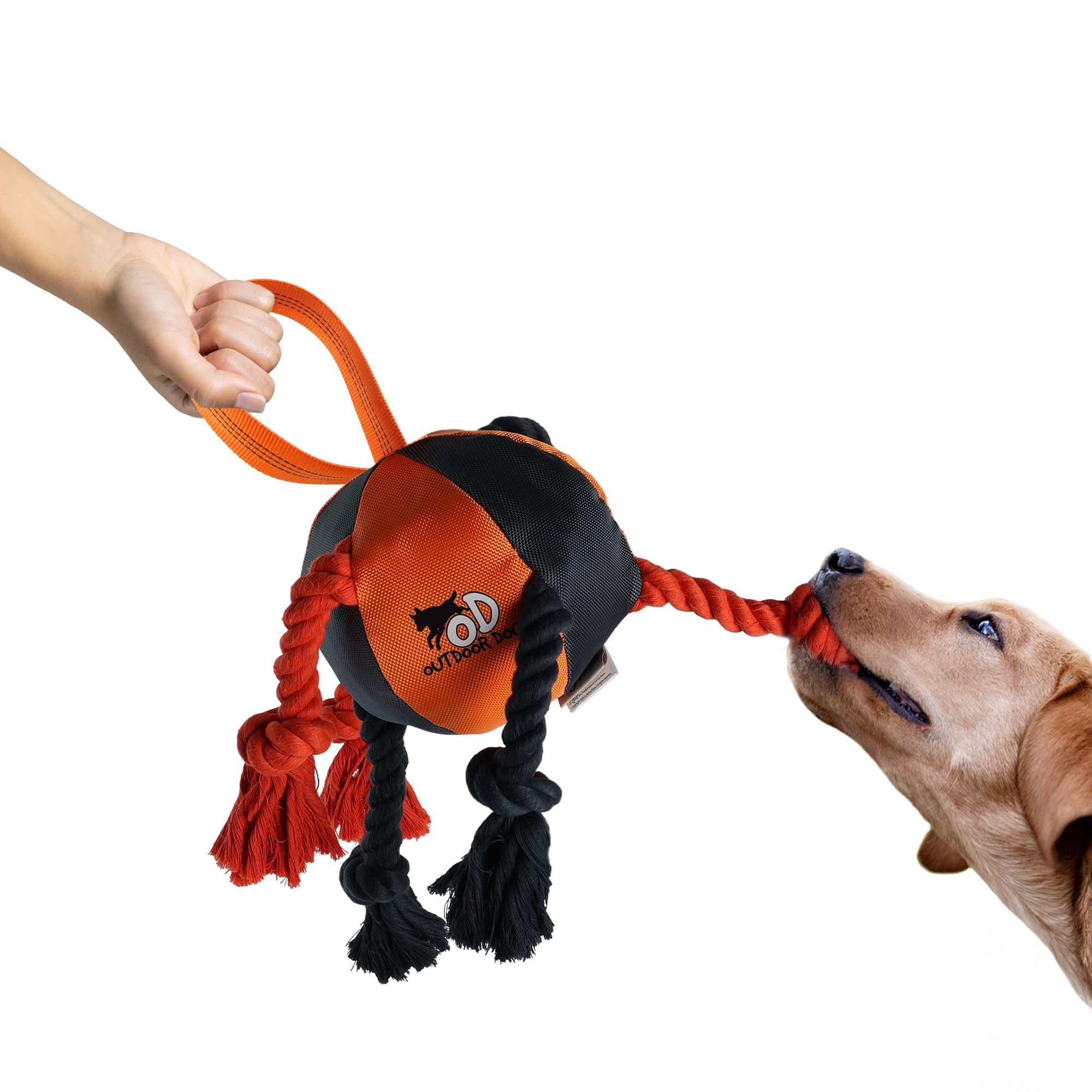 Balle pour chien en tissu Oxford ALL FOR PAWS, jouet de traction robuste