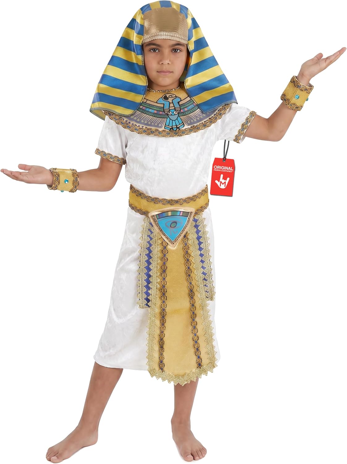 fun shack King Tut Costume Kids, Egyptian Costumes for Boys, Pharaoh Costume Boys, Book Characters Costumes for Kids, Large