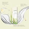 4PCS Herbal Diffuser Pen,Dual-Action Herbal Purifier Pens for Sleep Support, Resting Relaxation and Oral Air Freshening, Natural Energy Boost and Quitting Bad Habit