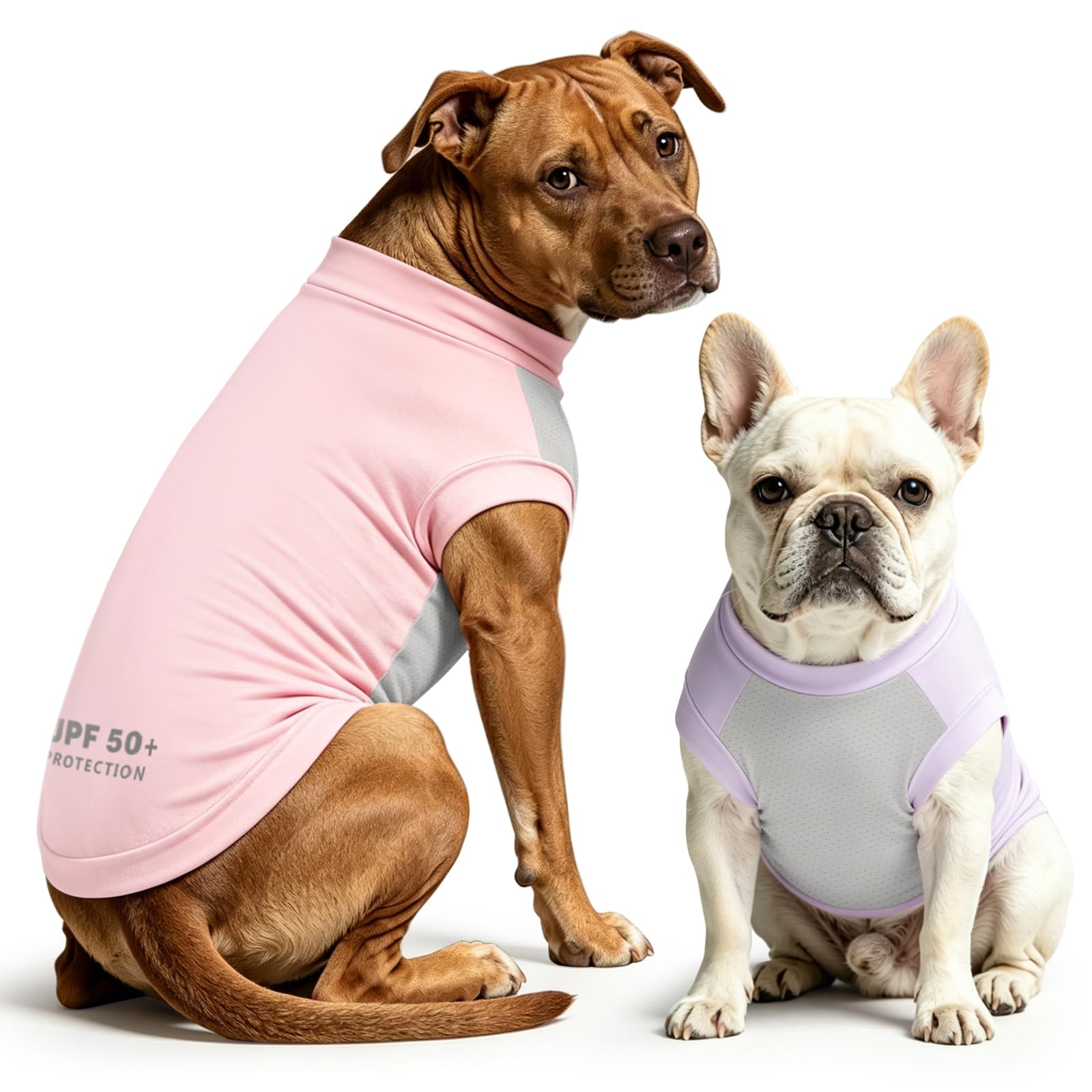 T-shirt d'été pour chien Idepet vêtement de protection solaire UPF 50+ pour randonnée et plage