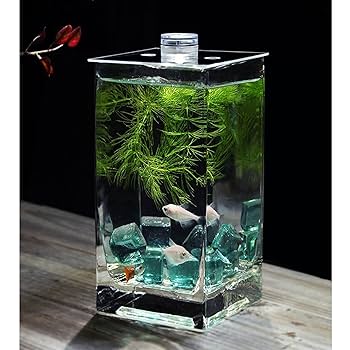 Amazon.co.jp: アクアリウム,水槽,小型水槽 蓋付きスクエアハイ