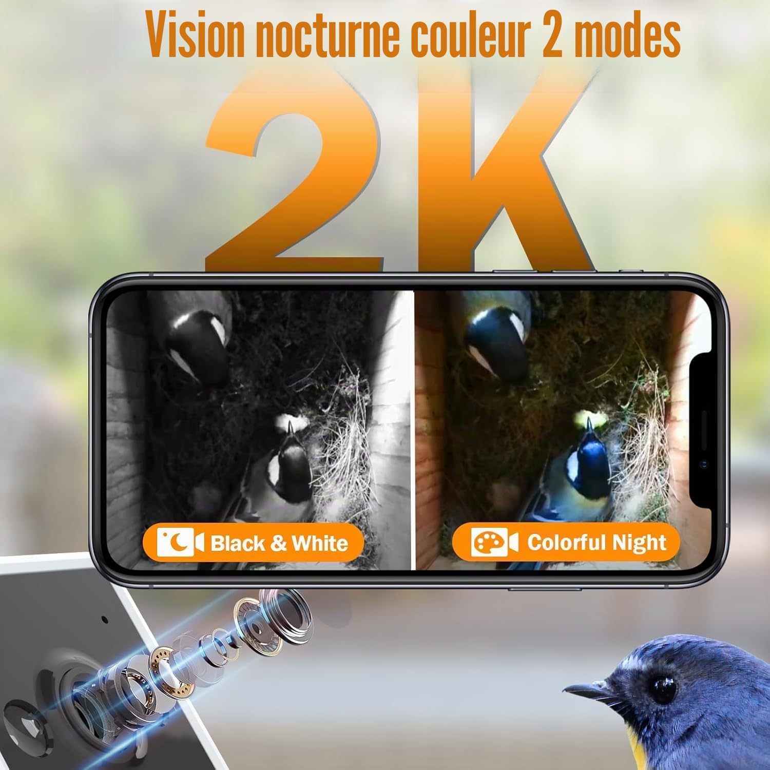 Nichoir à Oiseaux avec Caméra HD 4MP, Nichoir pour Jardin, Résistant aux Intempéries, WiFi 2,4G et Notification d'application, Surveillance de Nidification et d'éclosion, Enregistrement Automatique