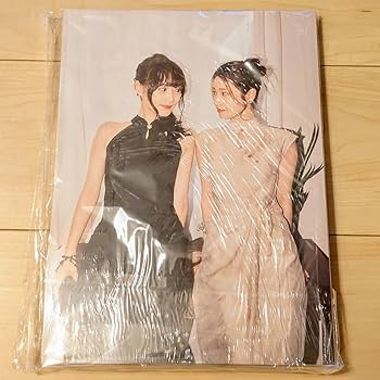 チェイサーゲームW 中村ゆりか 菅井友香　 中国雑誌　まとめ売り 中国雑誌 RETRO 3冊セット 菅井友香 中村ゆりか チェイサー