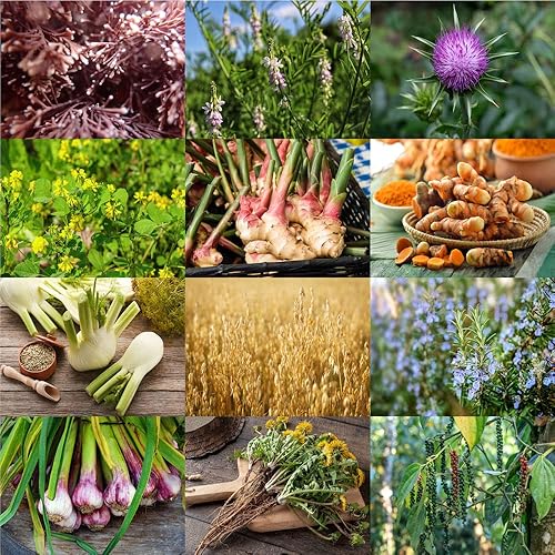 Miniatura 3 de Las mejores tabletas de suplemento de lactancia orgánicas - Goats Rue, Cardo de leche bendito, fenogreco - Aprobado por consultores de lactancia -