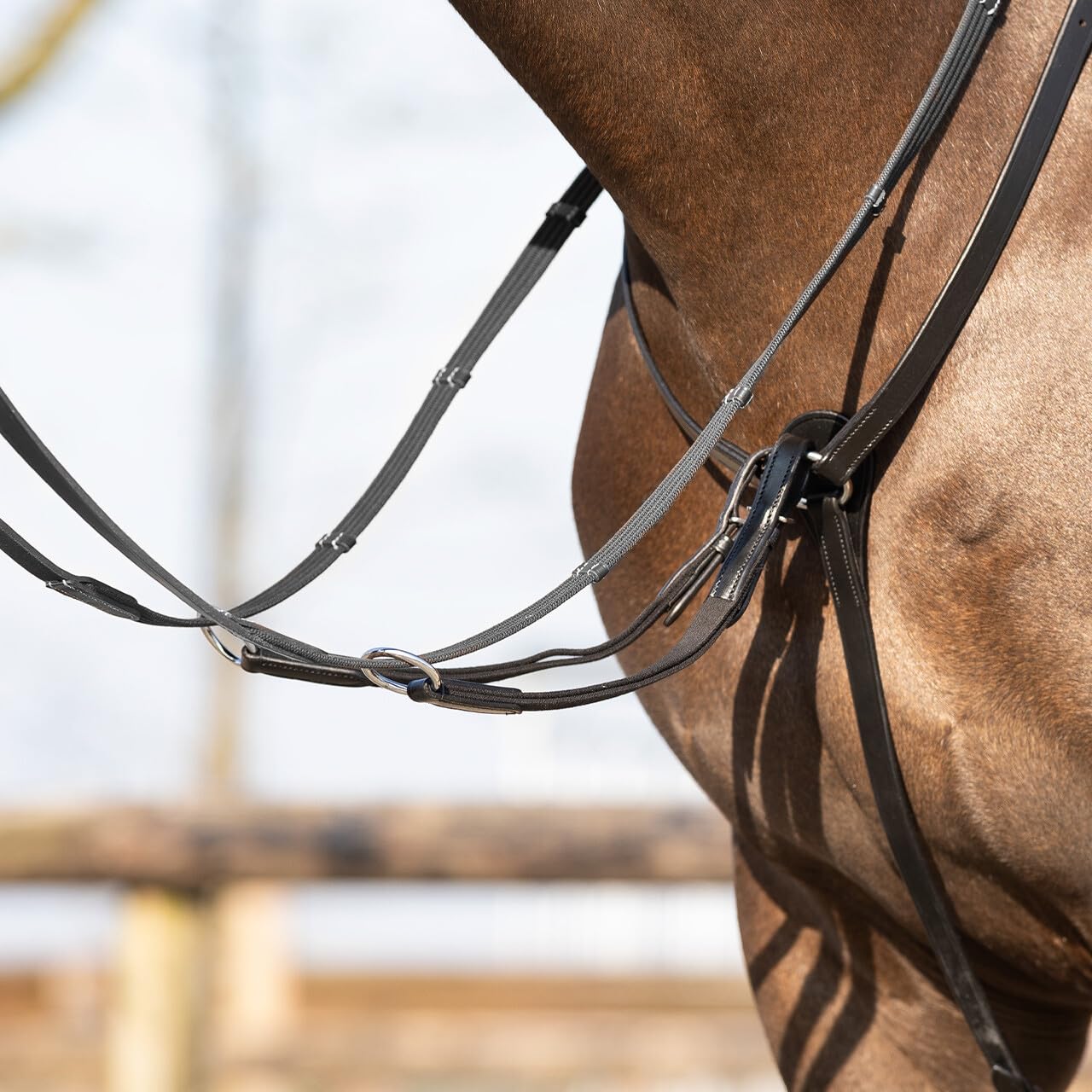 NETPROSHOP Leder Vorderzeug Basic Pro mit Abnehmbarer Martingalgabel Pony Cob Full, Groesse:Full, Farbe:Schwarz