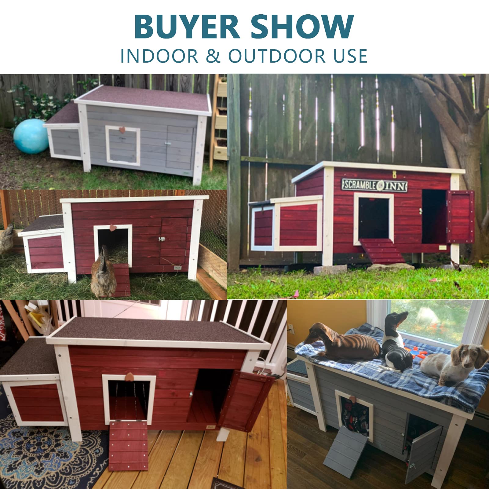 Petsfit Weatherproof Outdoor Chicken Coop with Nesting Box, Outdoor Hen