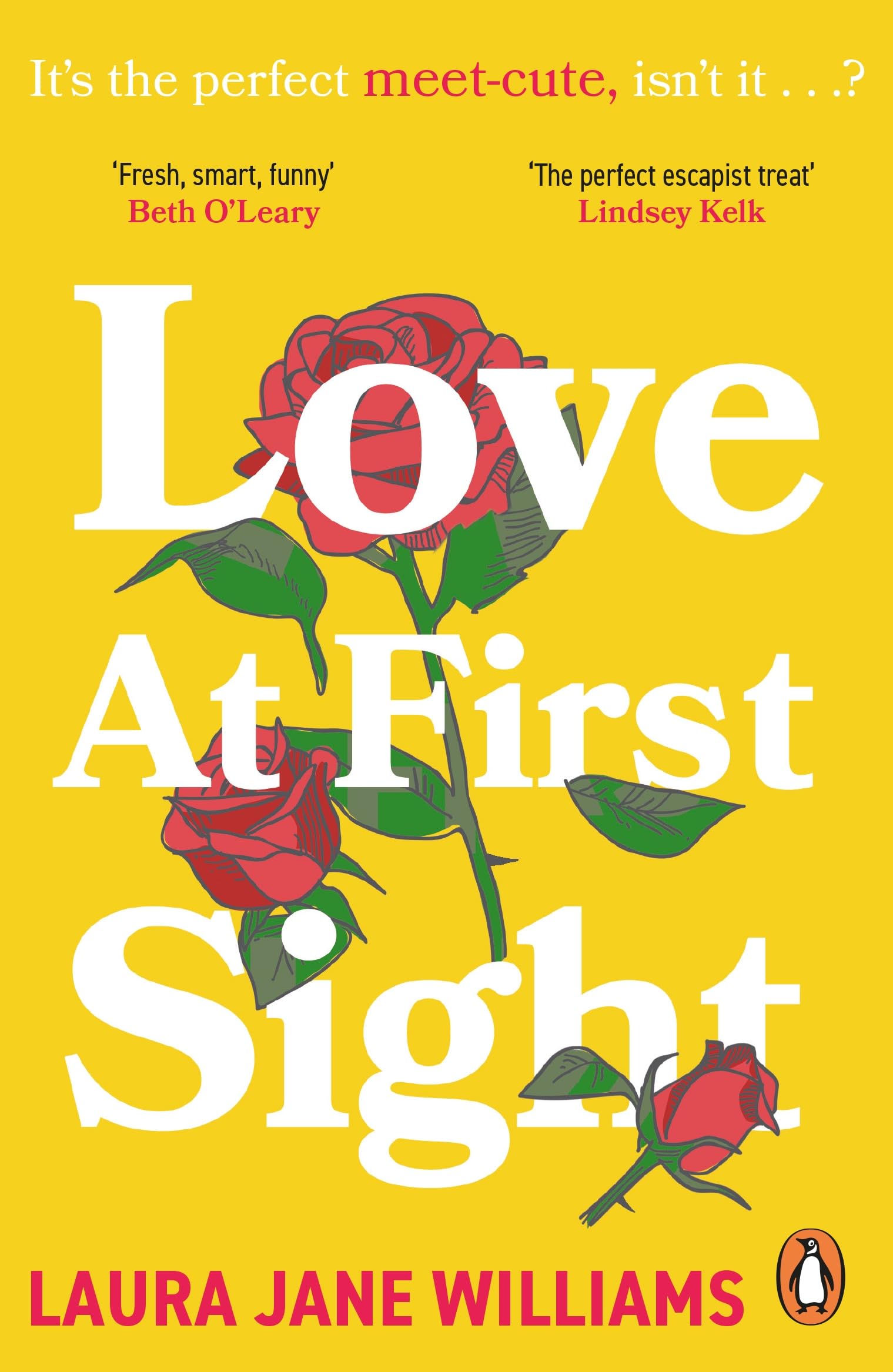 Love at First Sight: The gorgeously romantic and brilliantly funny new novel from the international bestseller of Our Stop