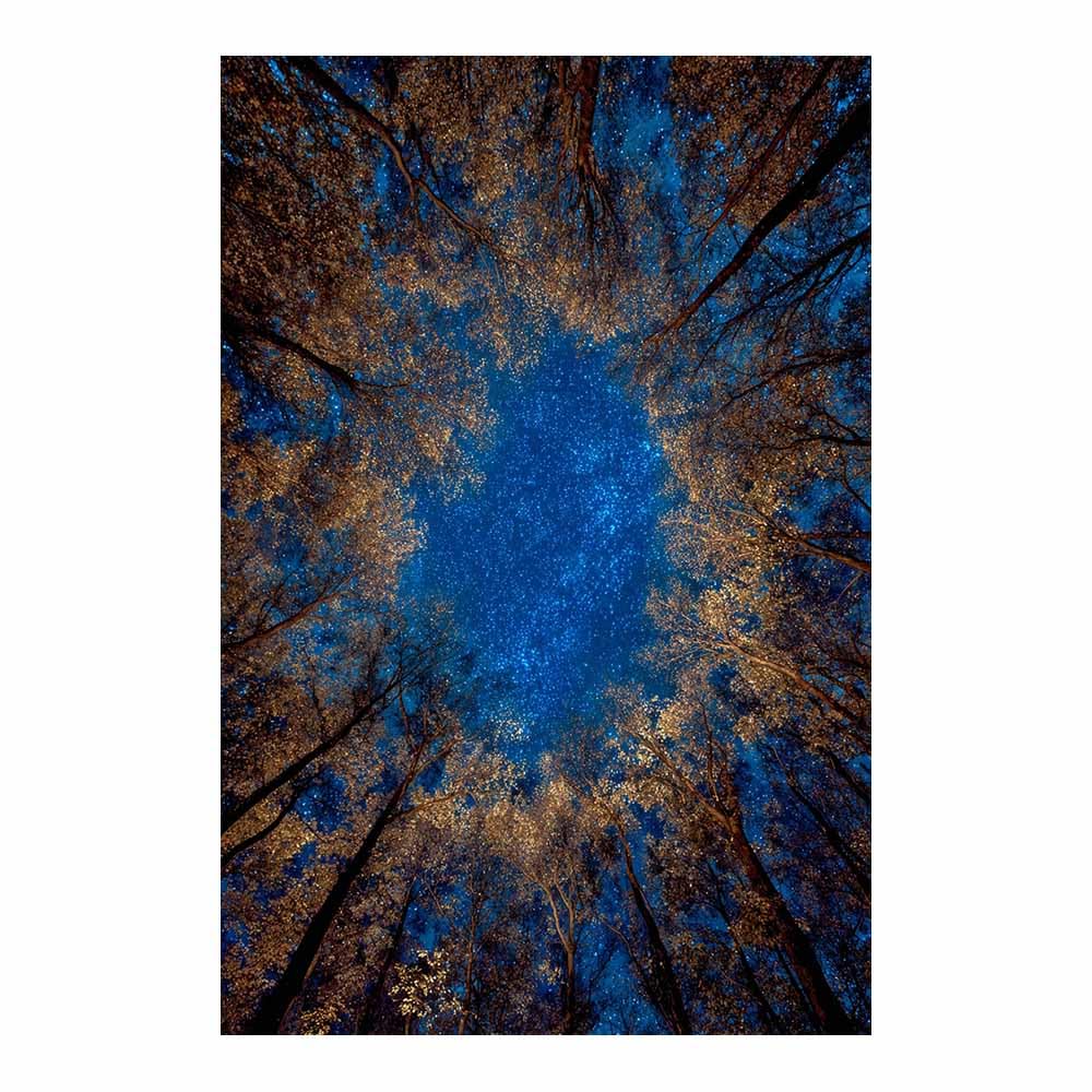 XENIOU Landscape Wall Pictures Night Sky Forestss Views artwork, wall decoration Living Room Bedroom Hallway Stairs Decoration(Multicolor)-70x100cm Unframed