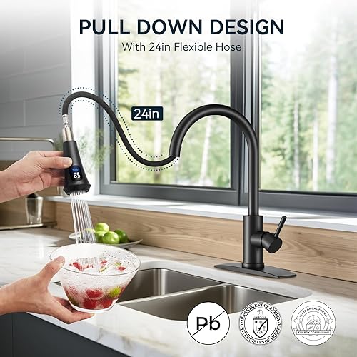 Vista 47 de FORIOUS - Llave de fregadero de acero inoxidable para cocina B07Y4Y88Y6