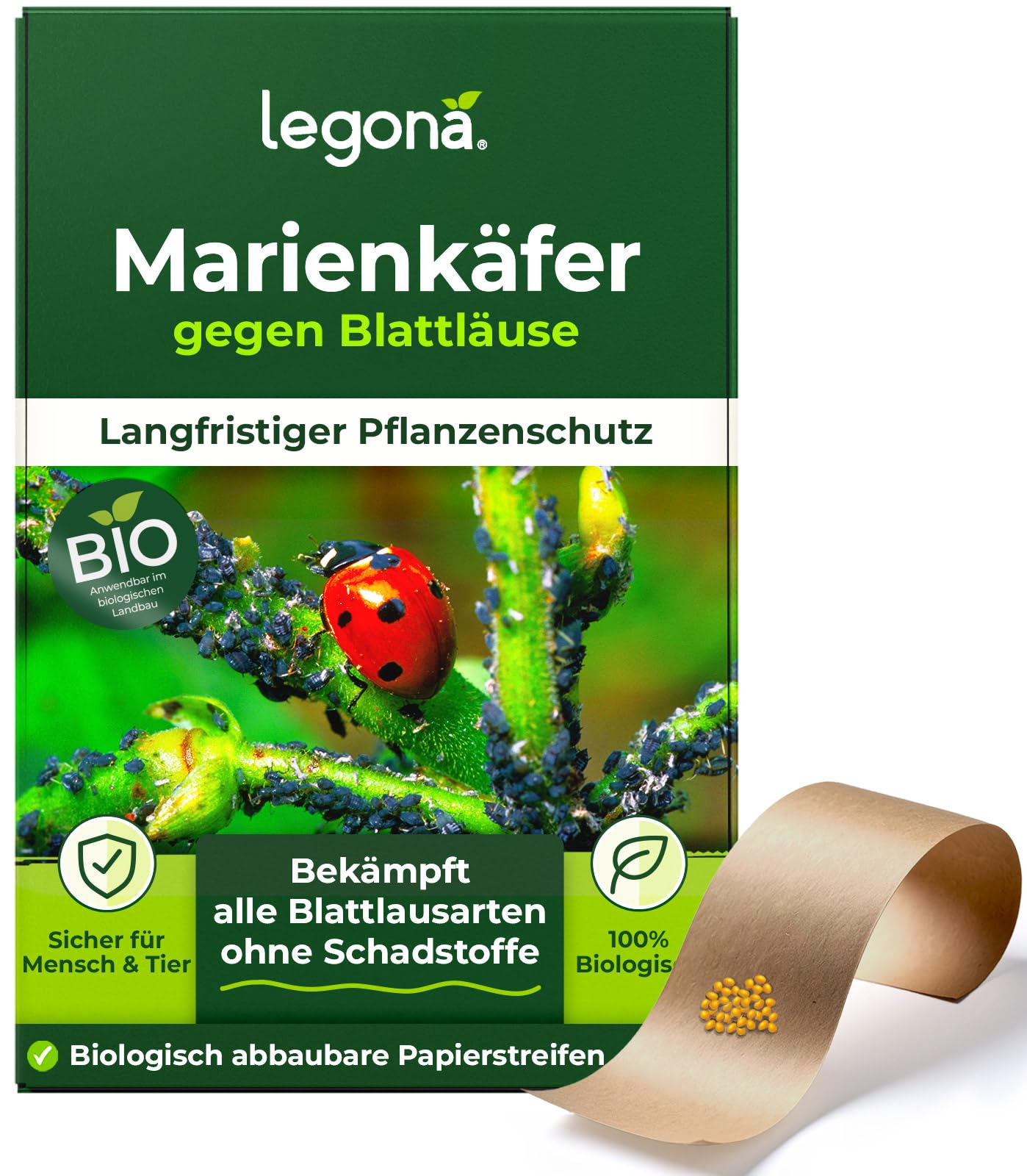 Legona® Marienkäferlarven gegen Blattläuse | 100 Marienkäfer-Eier für 10 m² | Marienkäfer Larven | Marienkäfereier | Blattläuse bekämpfen