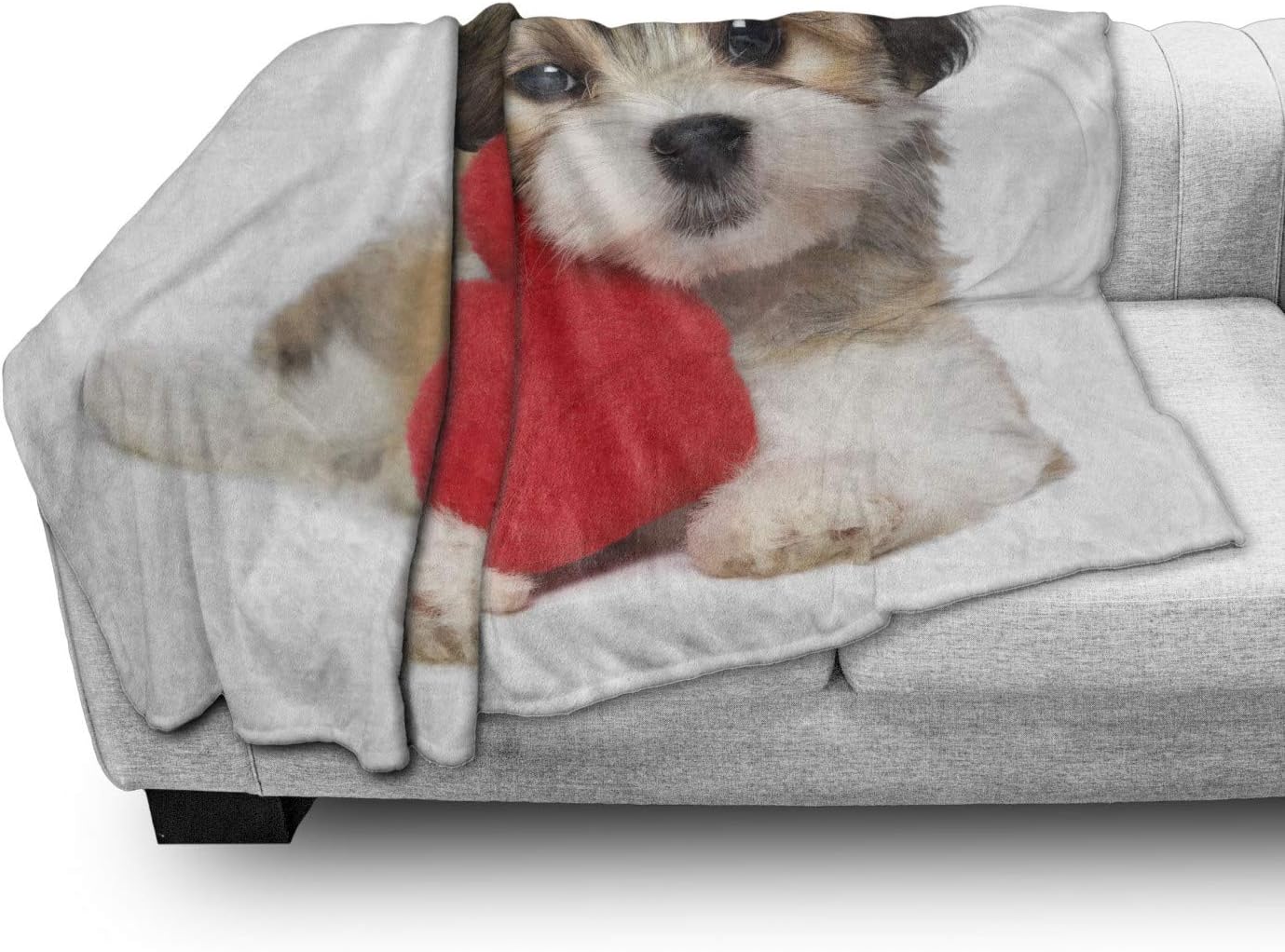 Lunarable Cartoon Throw Blanket, Lover Valentine Havanese Puppy Dog with a Red Heart Valentine's Day Theme, Flannel Fleece Accent Piece Soft Couch Cover for Adults, 50" x 60", Brown White Red