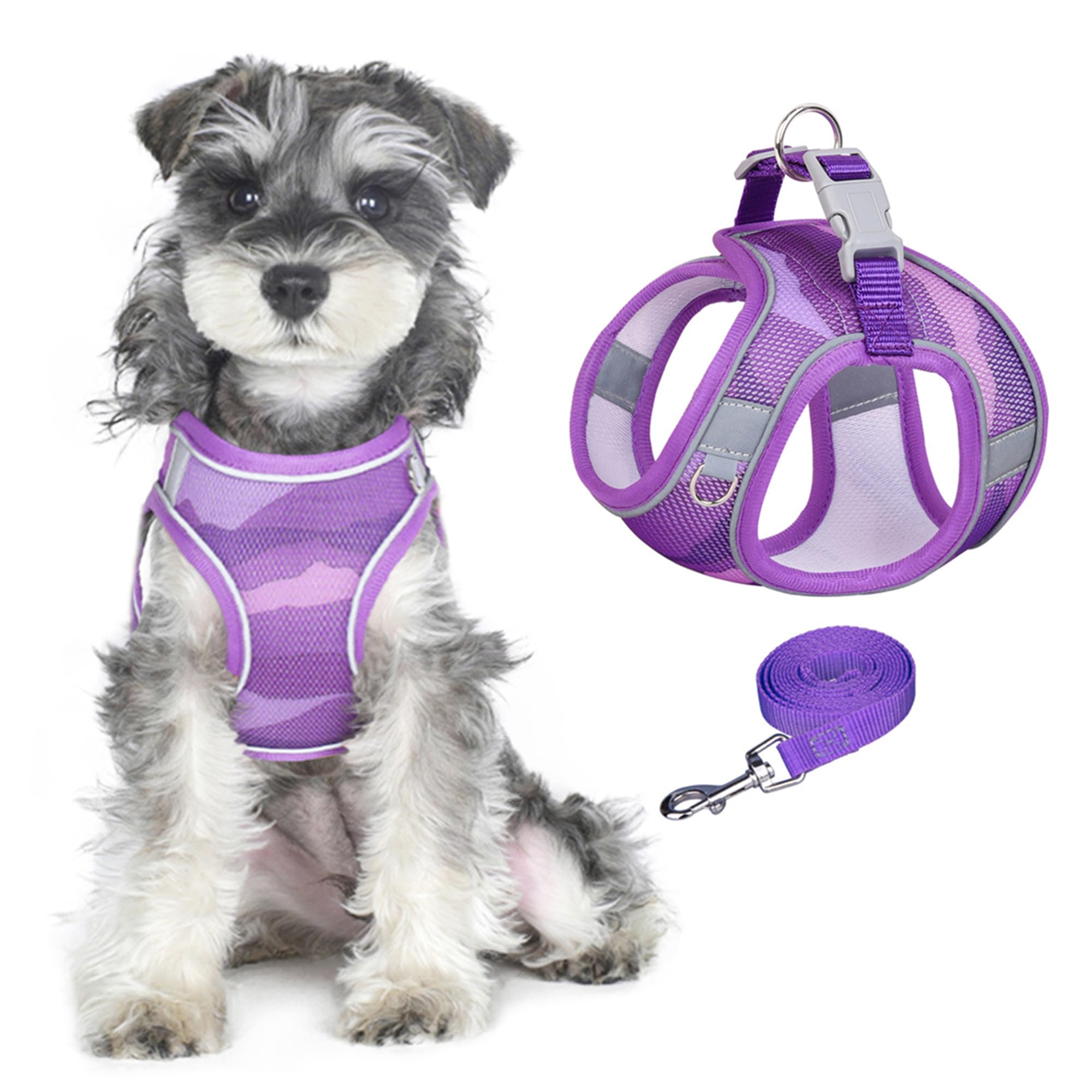 Step-in Hundegeschirr Ohne Ziehen – Reflektierend, Gepolstert, Netzstoff, Für Kleine Hunde & Katzen, Lila