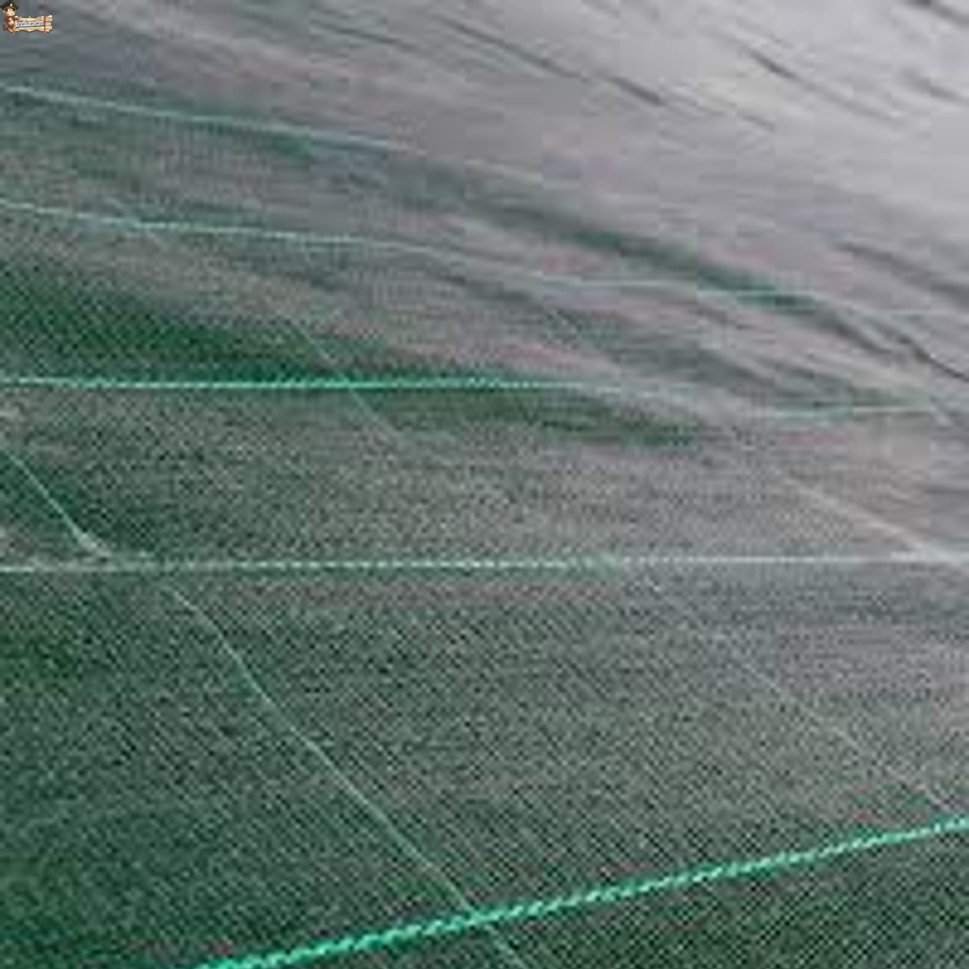 BricoLoco.com Manta Malla antihierba Verde para Agricultura, jardín, huerto,Camping, césped Artificial. 105 grs./m2. Tela en Rafia de Polipropileno 100%. (50, 1)