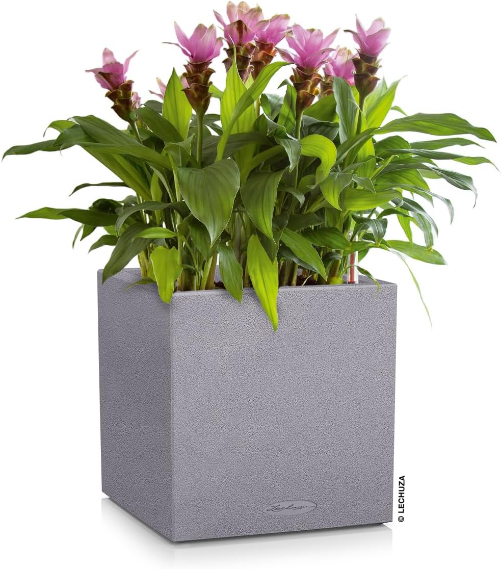 Lechuza Canto Stone Low 40 Stone Grey, Self-Watering Square Planter, H15.7 L15.7 W15.7 in