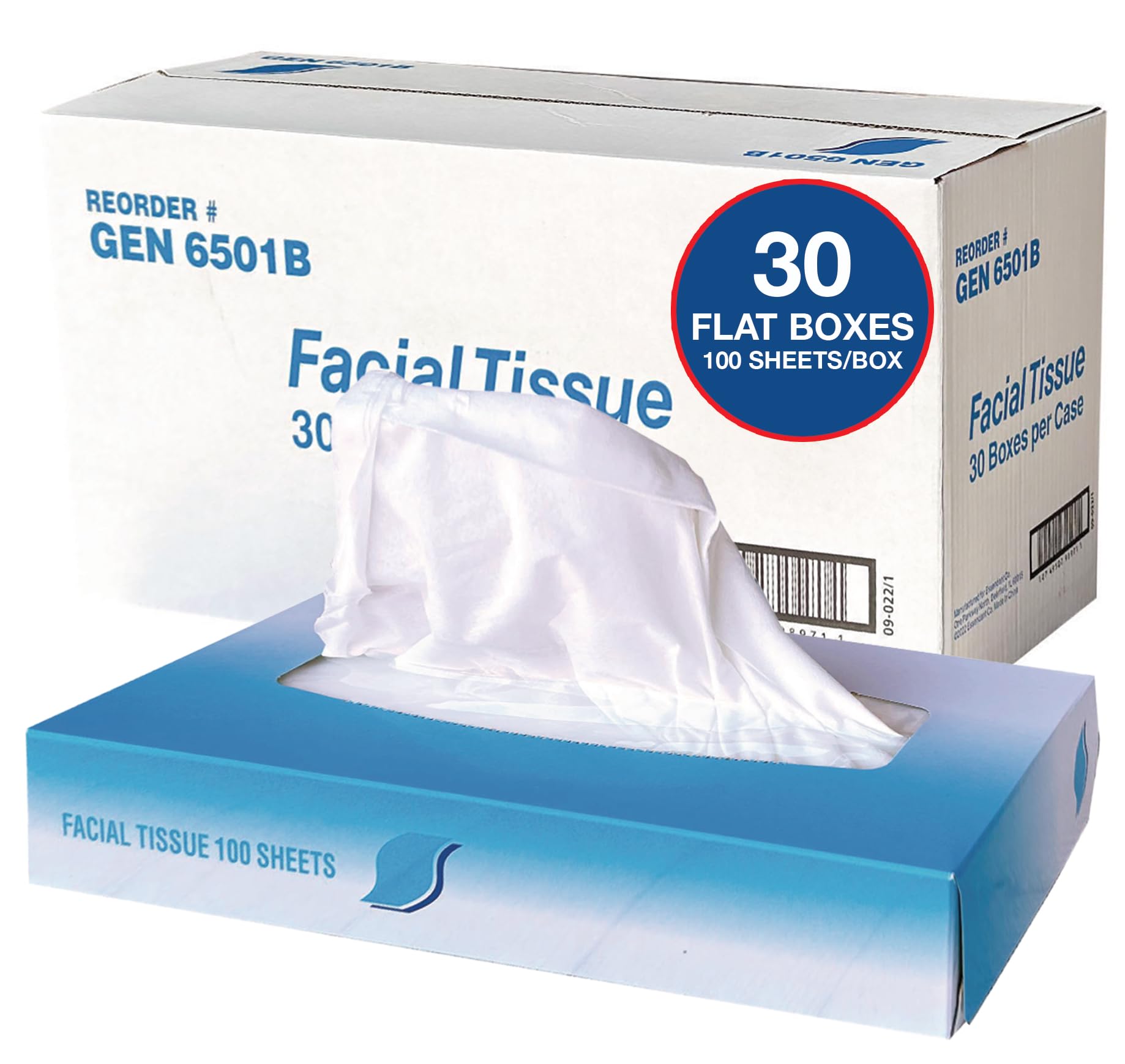 GEN Facial Tissue 2-Ply White Flat Box 100 Sheets Box 30 Boxes Carton