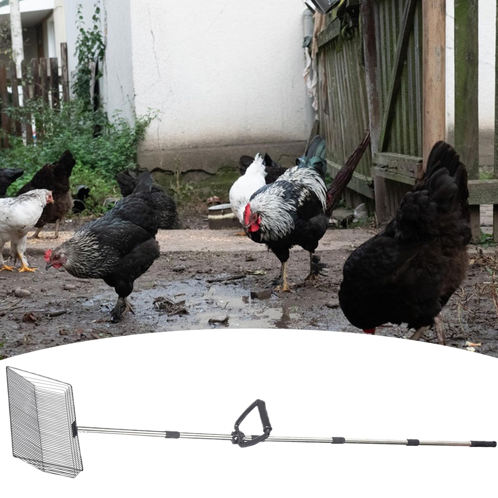 per Cacca di Pollo per Sabbia Pulizia Lettiera Animali Fattoria | per Pulire Escrementi di Pollo per Conigli Gatti Cavie Pony Fienile Rustico Recinto Stalla Gabbia