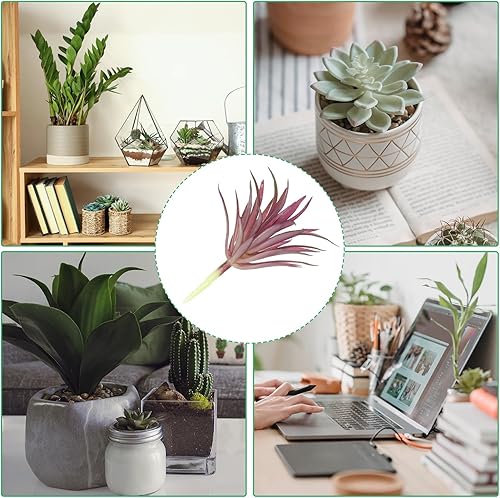 Miniatura 5 de PATIKIL Plantas suculentas artificiales, paquete de 4 plantas falsas pequeñas, plantas suculentas falsas sin maceta para decoración del jardín del