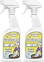 Grandma's Secret Spot Remover Laundry Spray - Chlorine, Bleach and Toxin-Free Fabric Stain Remover for Clothes - Removes Oil, Paint, Blood and Pet Stains - 16 Oz, 2 Pack