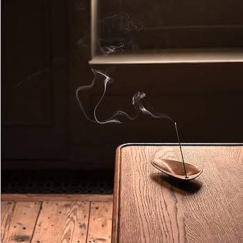 Amazon.com: Aesop Sarashina Aromatique Incense | Dry, Woody Notes