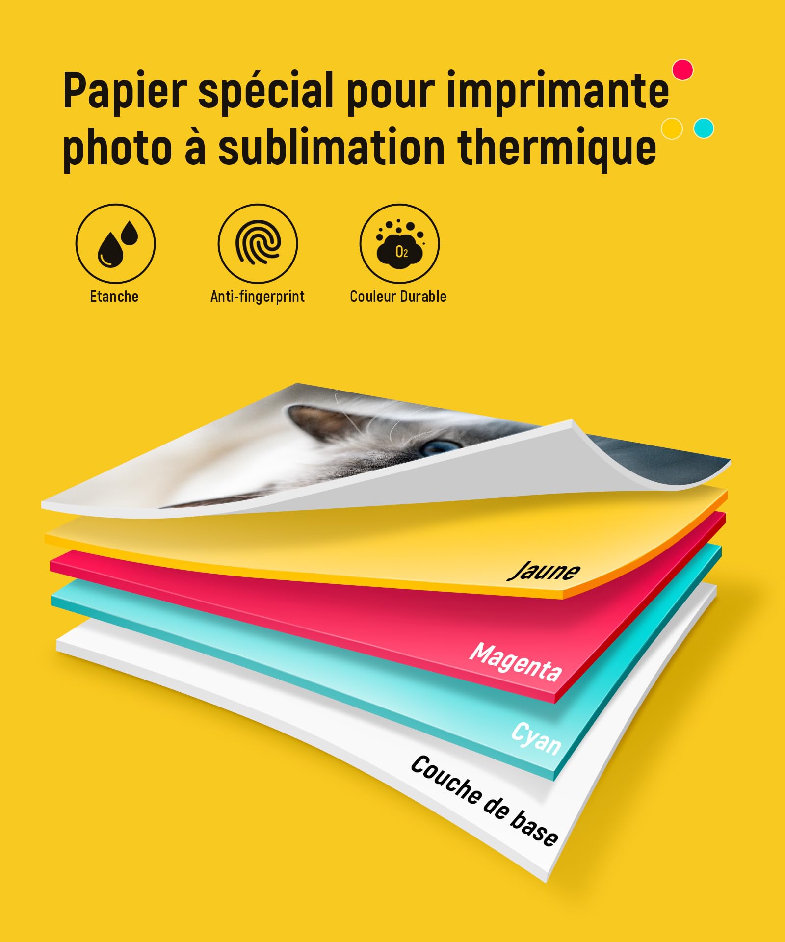 Liene Amber M100 M200 M110 M210 Consommables Originaux 80 Feuilles 10x15 cm 2 Cartouches Sublimation Thermique Étanche Anti-Oxydation