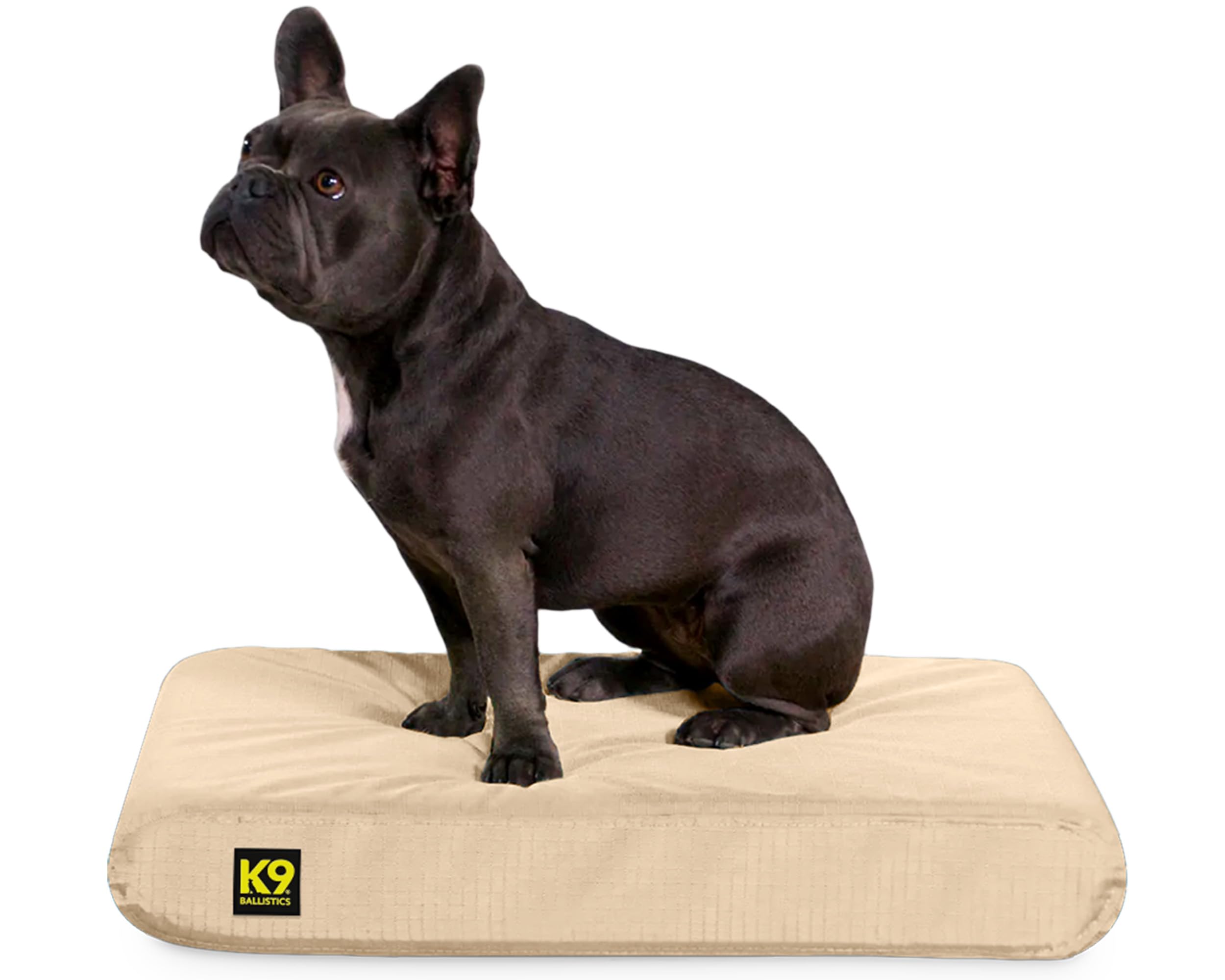 K9 Ballistics Tough Rip-Stop Orthopedic Rectangle Dog Bed Removable Washable Cover, Solid Orthopedic Foam for Size S Dogs 24"x18", Sandstone
