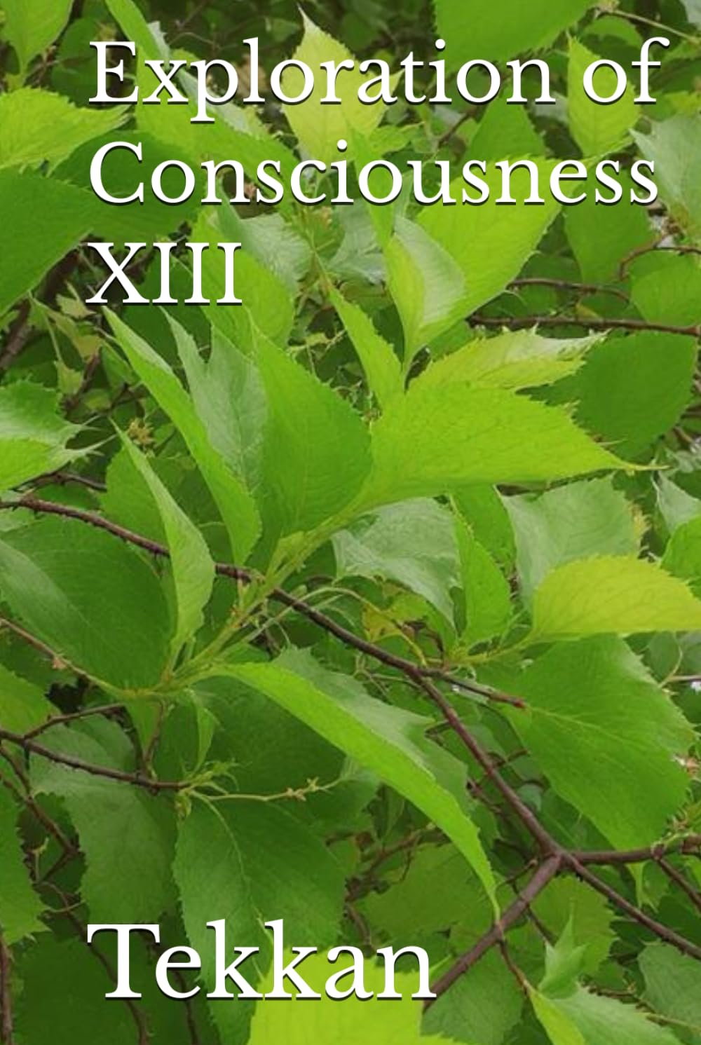 Exploration of Consciousness XIII