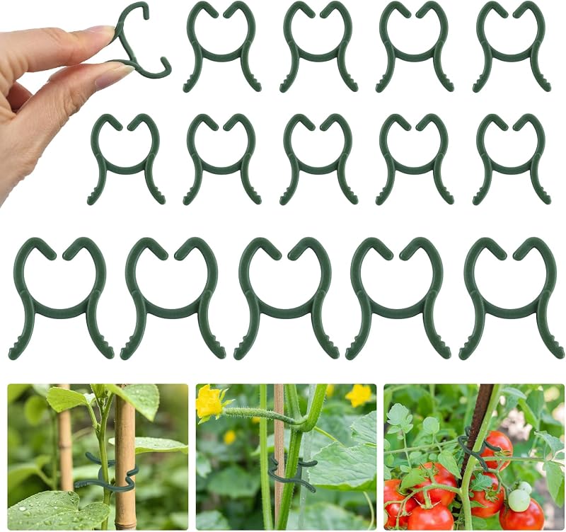 100 Pezzi Clips per Piante Piccole, Verde Clip Piante Rampicanti Jardin, Clip Supporto Piante, Riutilizzabili Mollette Giardinaggio pour Soutenir Plantes Légumes Fruits (Verde-F)