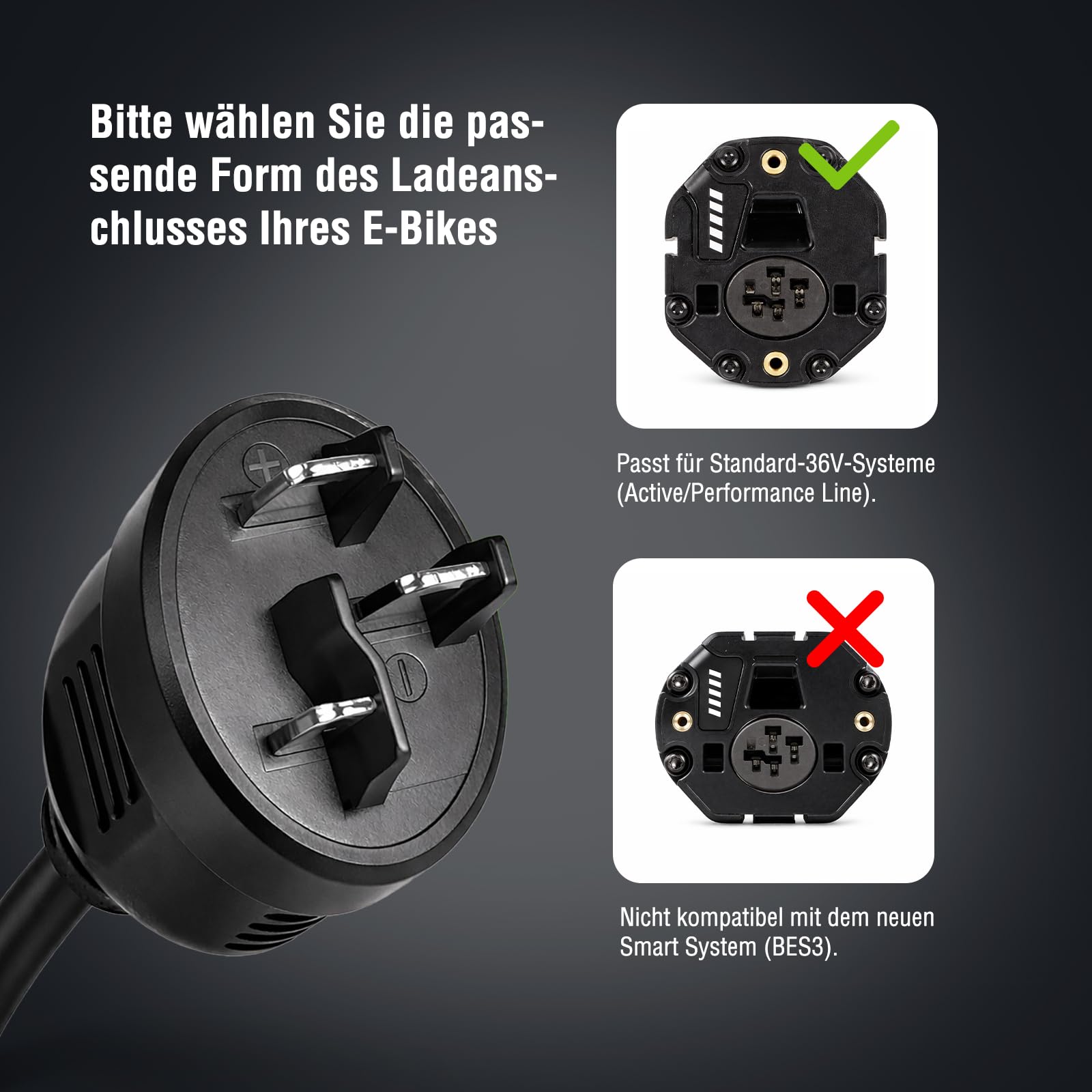 LEICKE Cargador Rápido de 6A para Bosch 36V/42V E-Bike – Compatible con Active Line, Active Line Plus, Cargo Line, Classic+ Line, Performance Line, Line CX, Line Speed