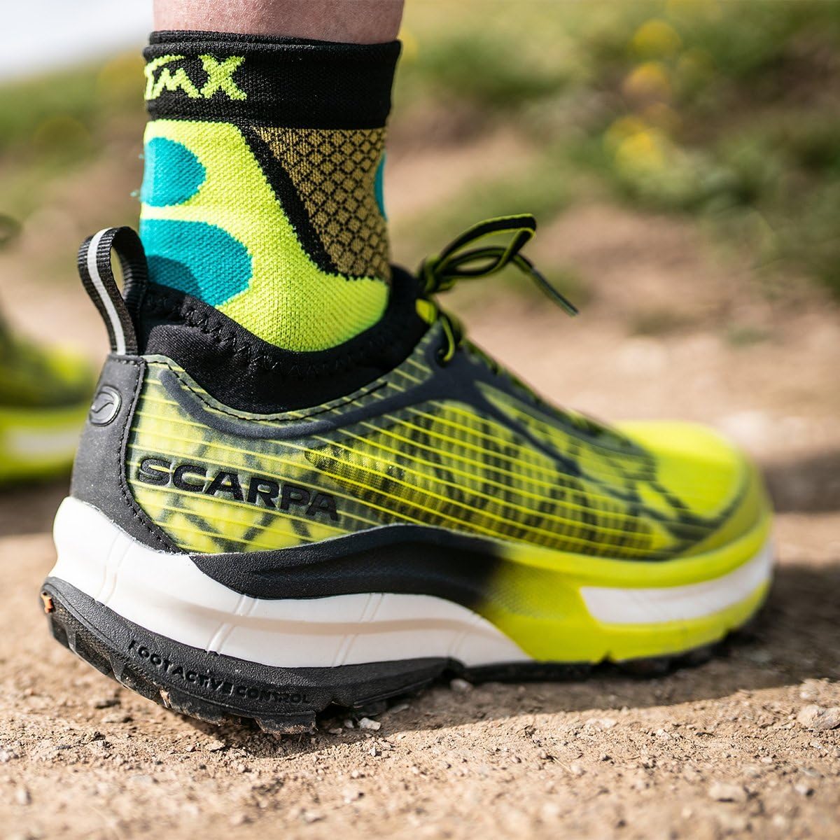 Scarpa Mojito, Trail Running Hombre, Shark BM Spider