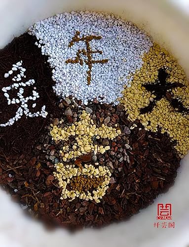 Miniatura 7 de CYMUS - Material vegetal común para orquídeas CYMBIDIUM- - 3L (4 en 1)