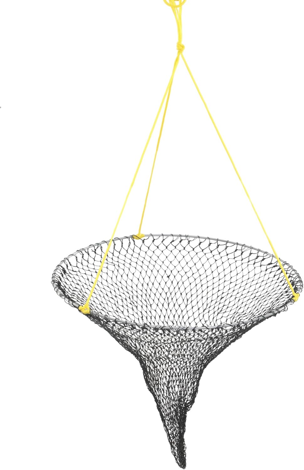 Frabill Bridge/Pier Net | 36" Diameter Fishing Net Pre-Rigged with 50 Feet of Rope , Black : Fishing Nets : Sports & Outdoors