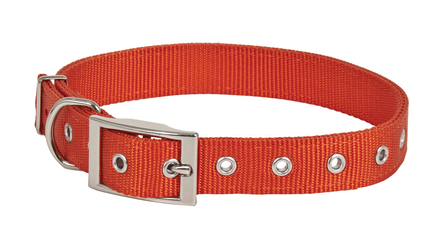 Petmate Ruff MAXX 10794 Pet Supplies Dog Collars