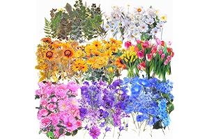 Tranquil Blooms: 320 Clear Flower Delights for Crafting Serenity