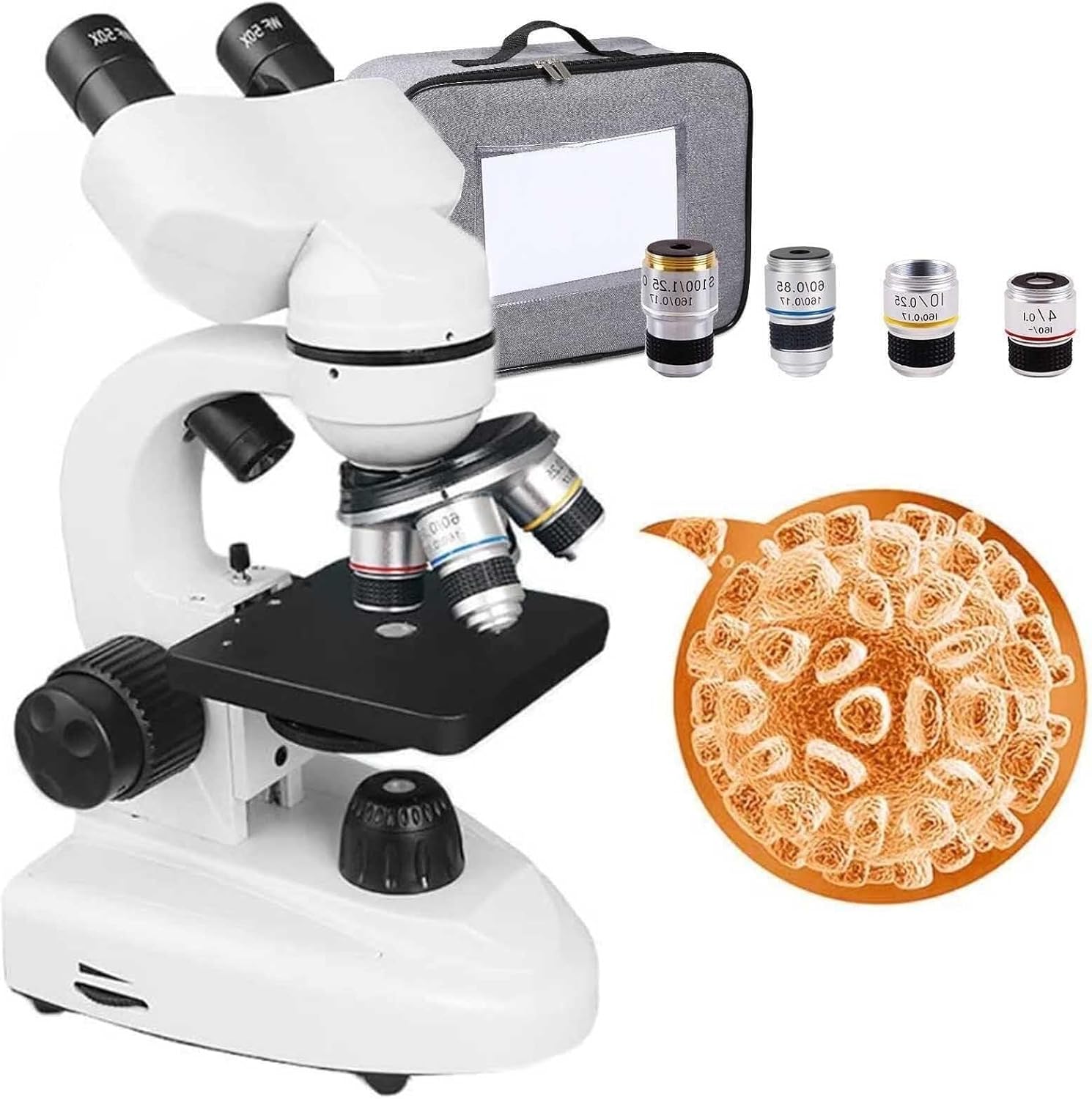 Binocular Biological Microscope Professional Compound Microscope - Microscope Slide Set/Bag/30 Samples for School Lab(20000X)